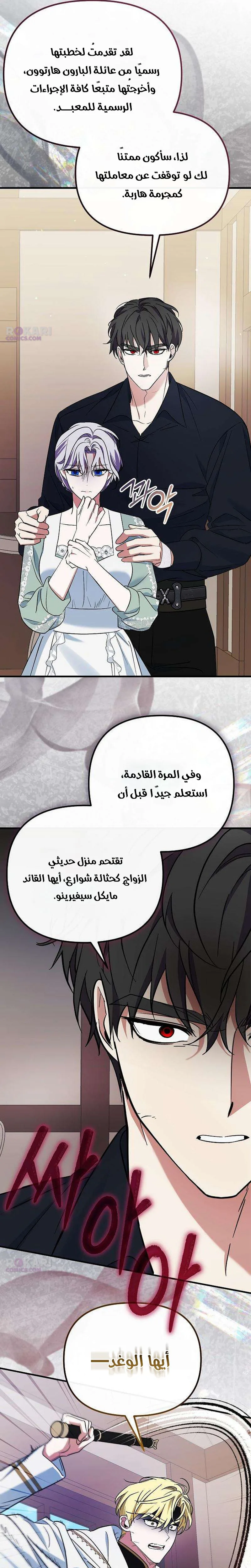 الصفحة 13