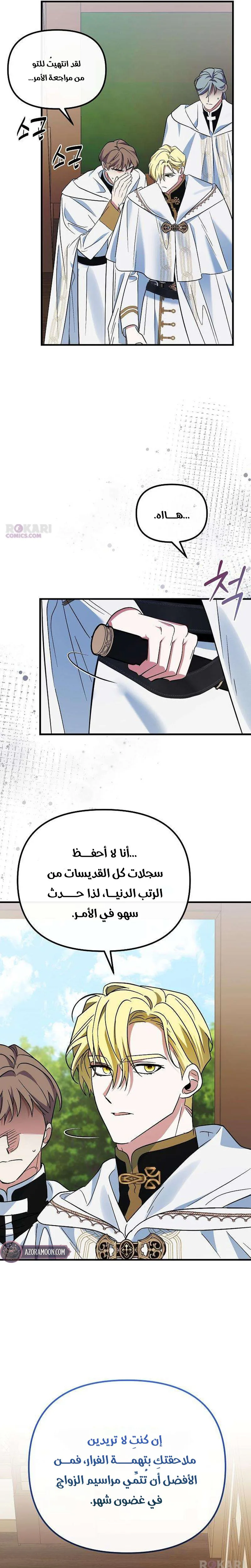 الصفحة 19