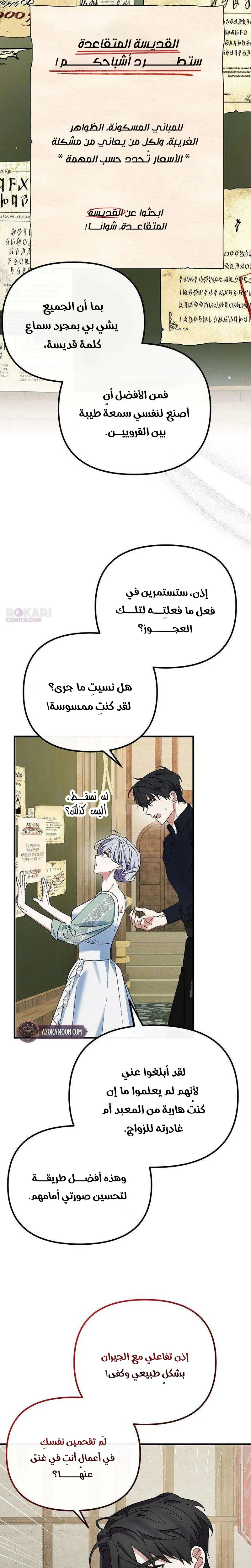الصفحة 26