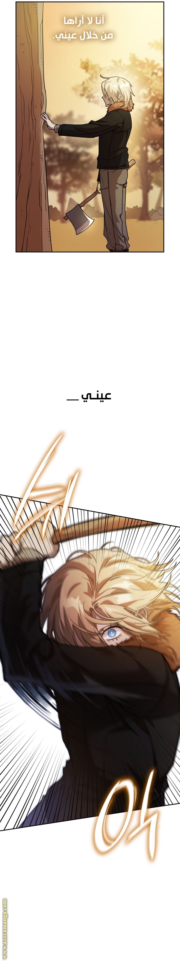 الصفحة 13