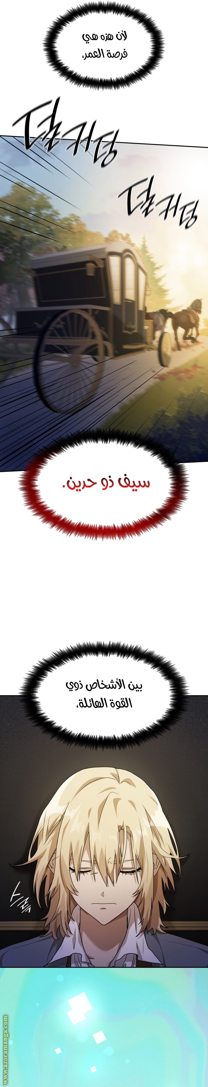 الصفحة 17