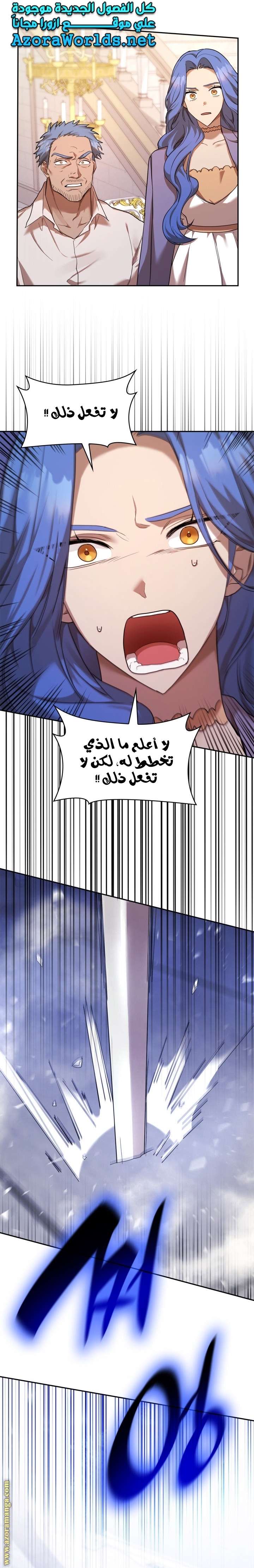 الصفحة 13