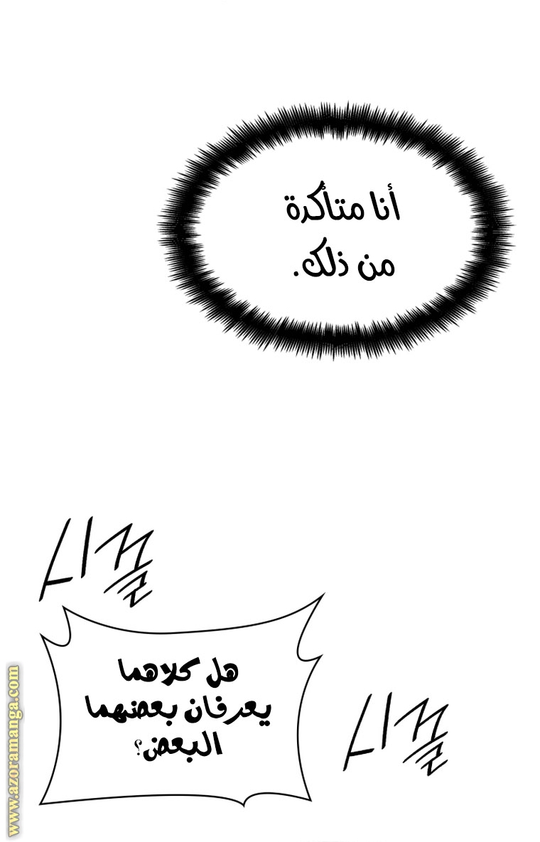 الصفحة 26