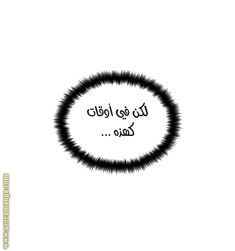 الصفحة 29