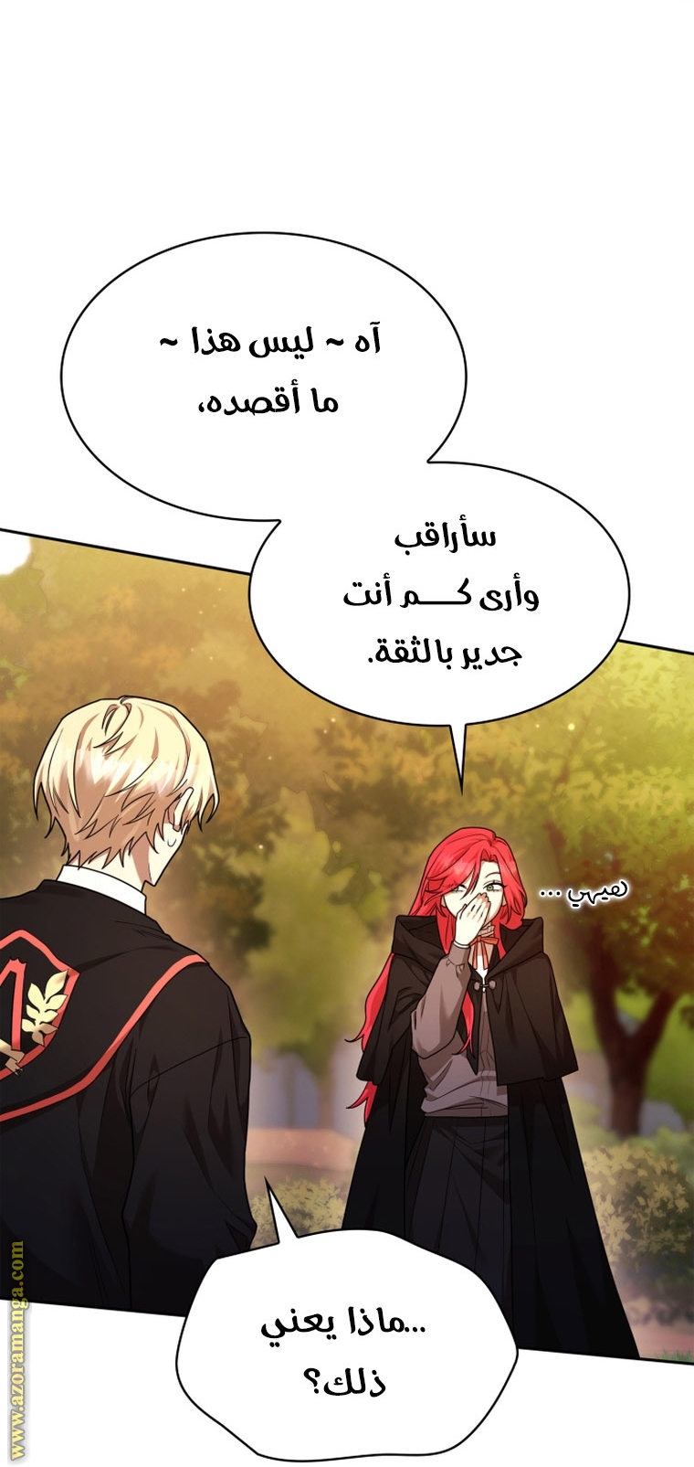 الصفحة 41