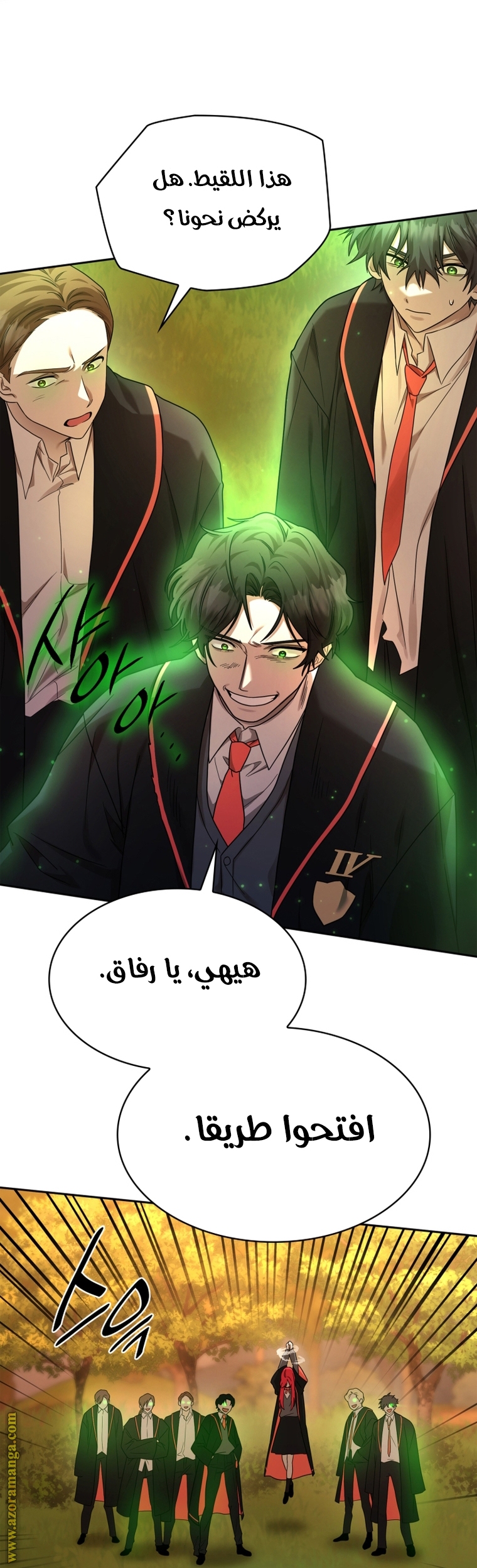 الصفحة 17