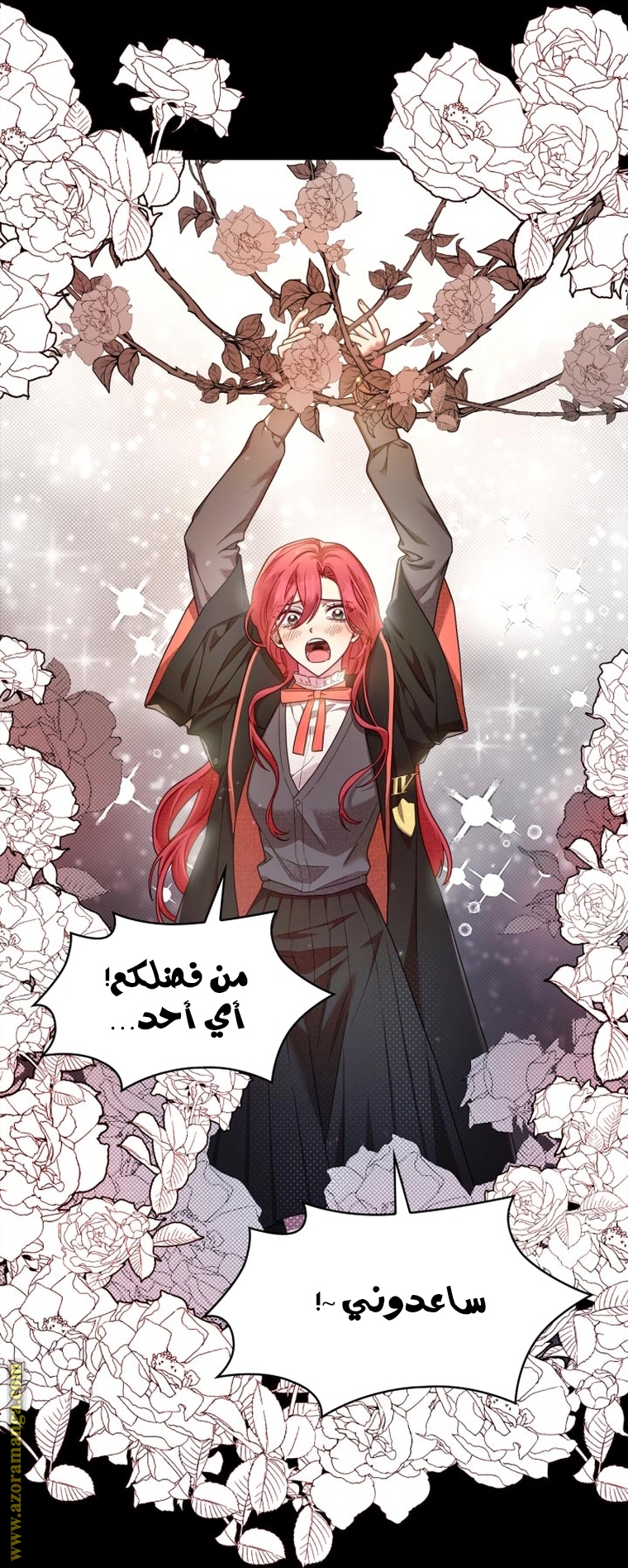 الصفحة 2