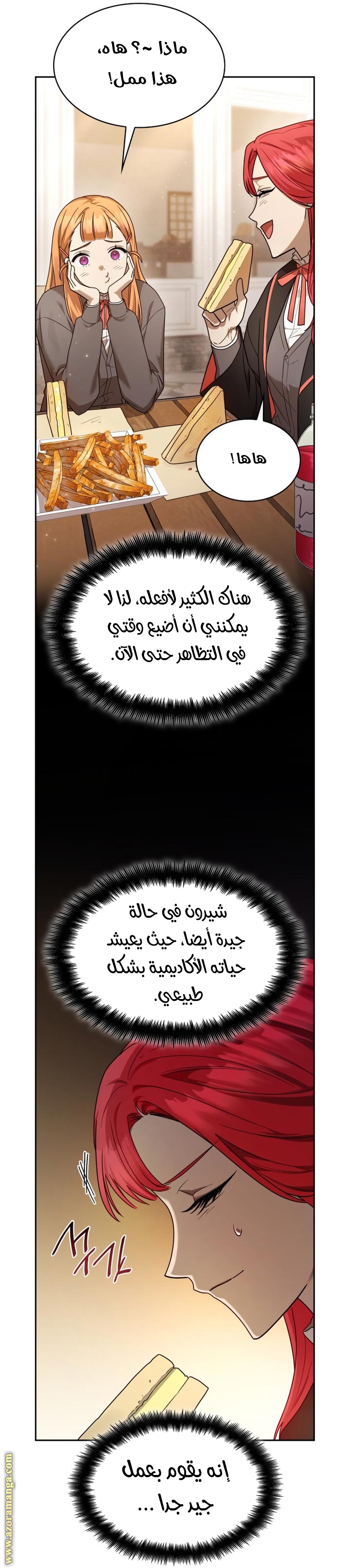 الصفحة 27