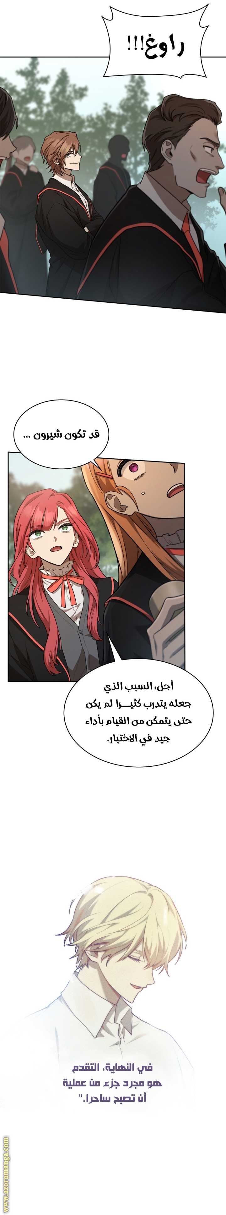 الصفحة 29