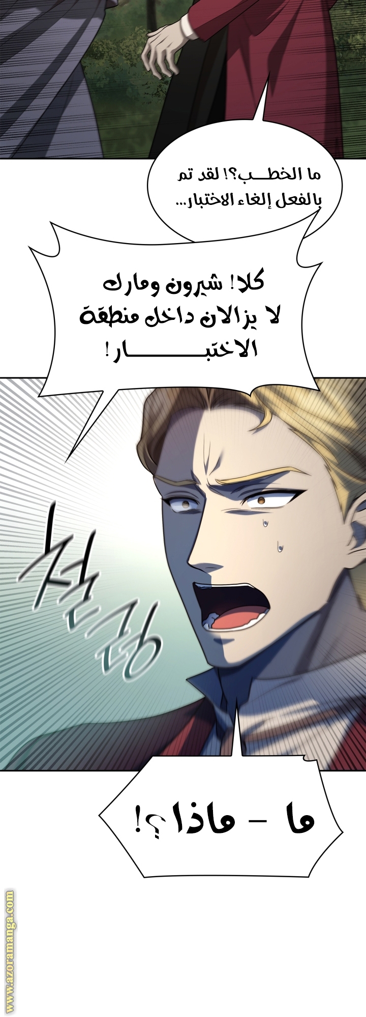 الصفحة 48