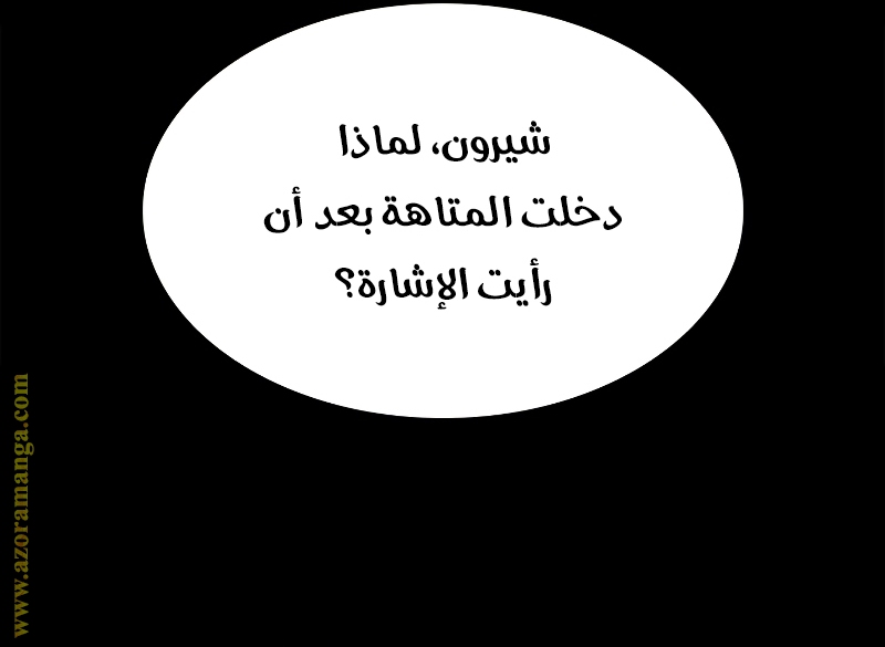 الصفحة 27