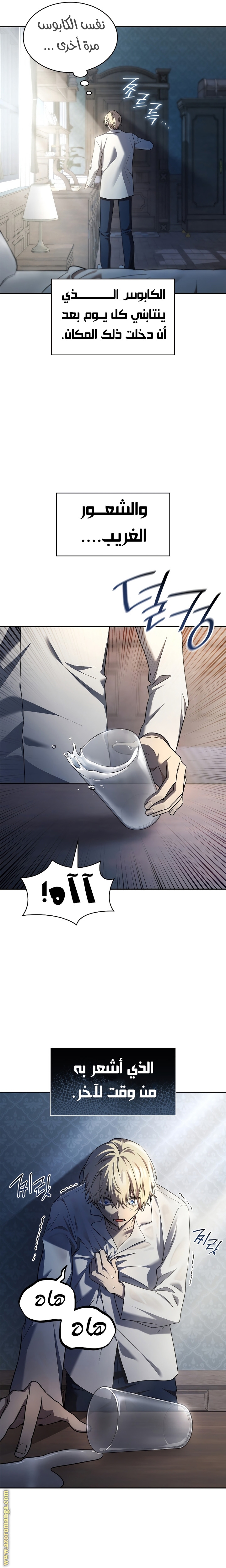 الصفحة 13
