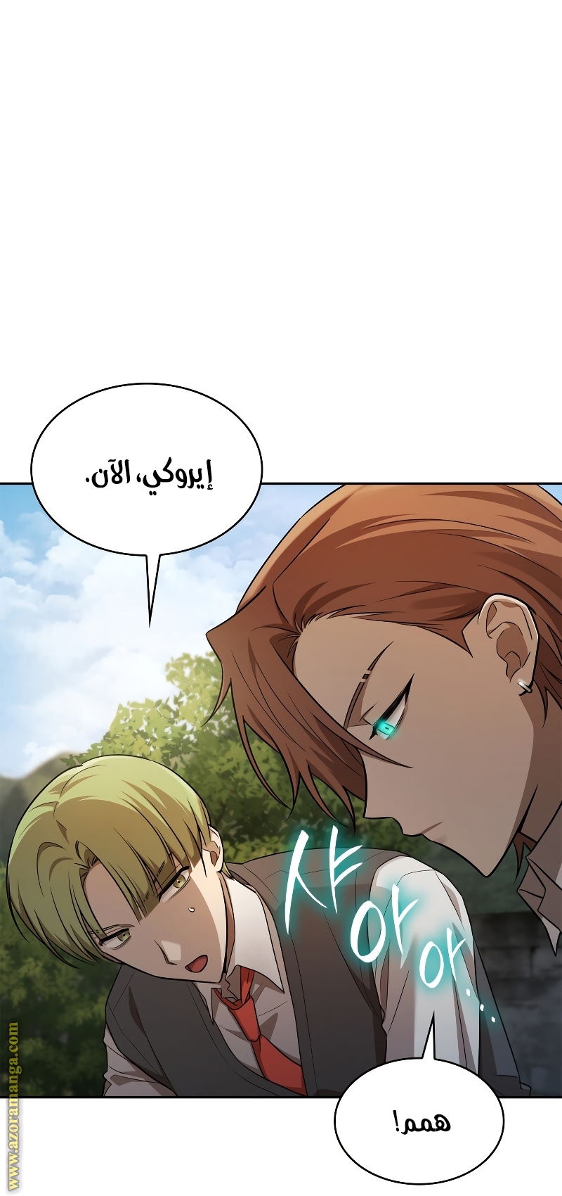 الصفحة 17