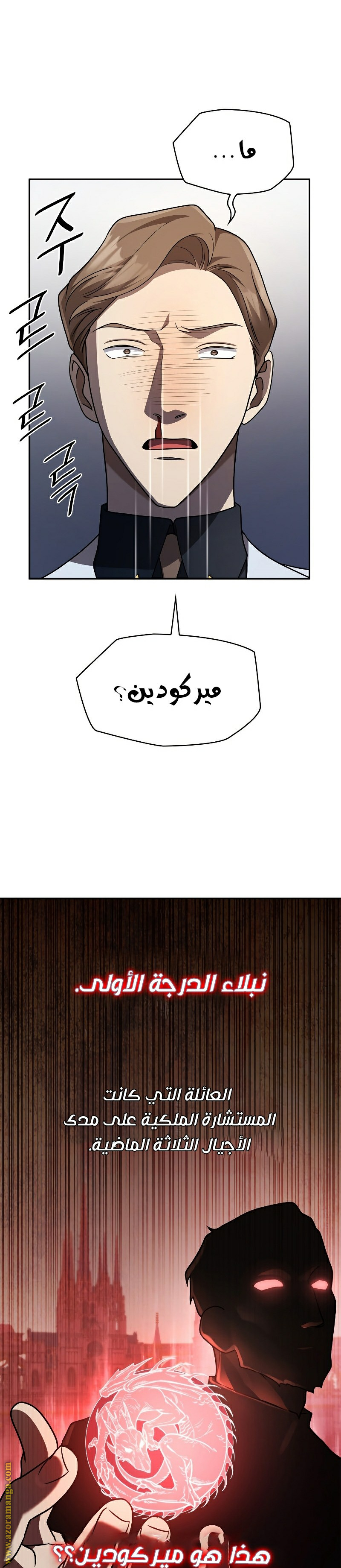 الصفحة 20