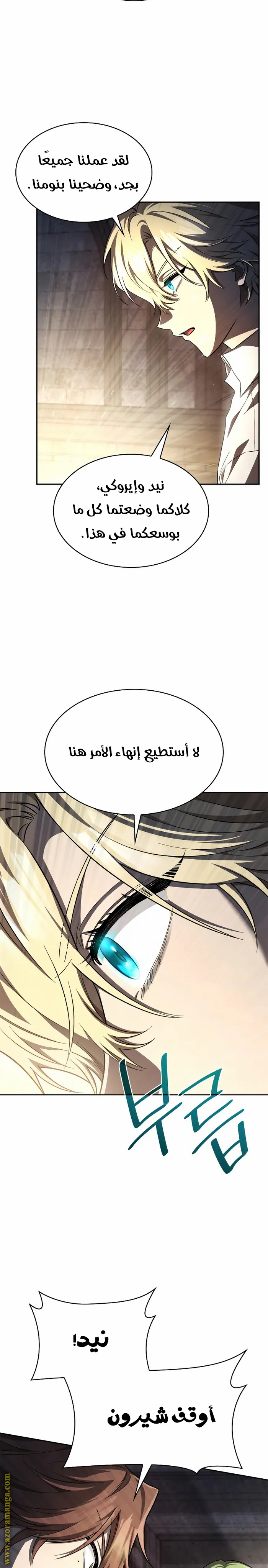 الصفحة 17