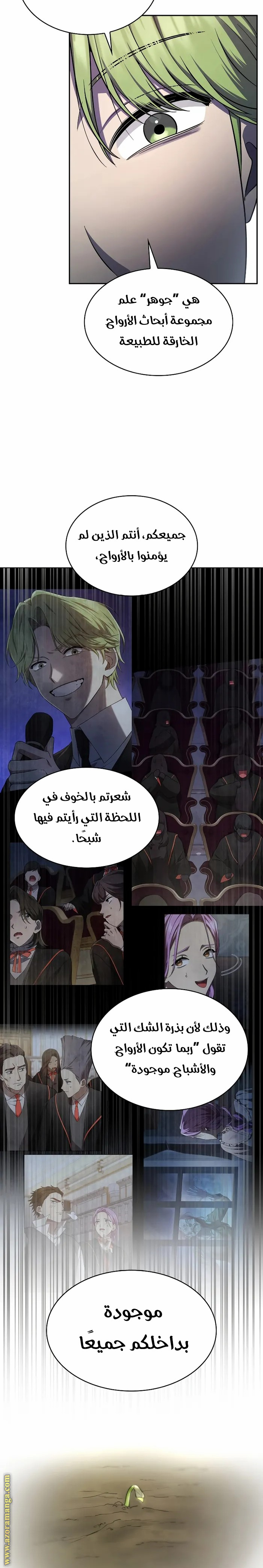 الصفحة 17