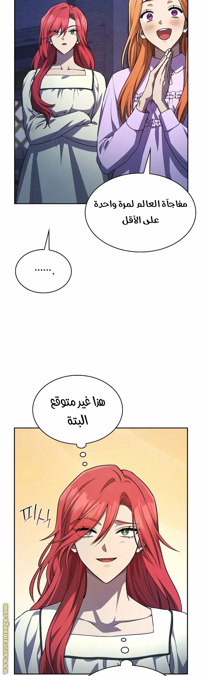 الصفحة 26
