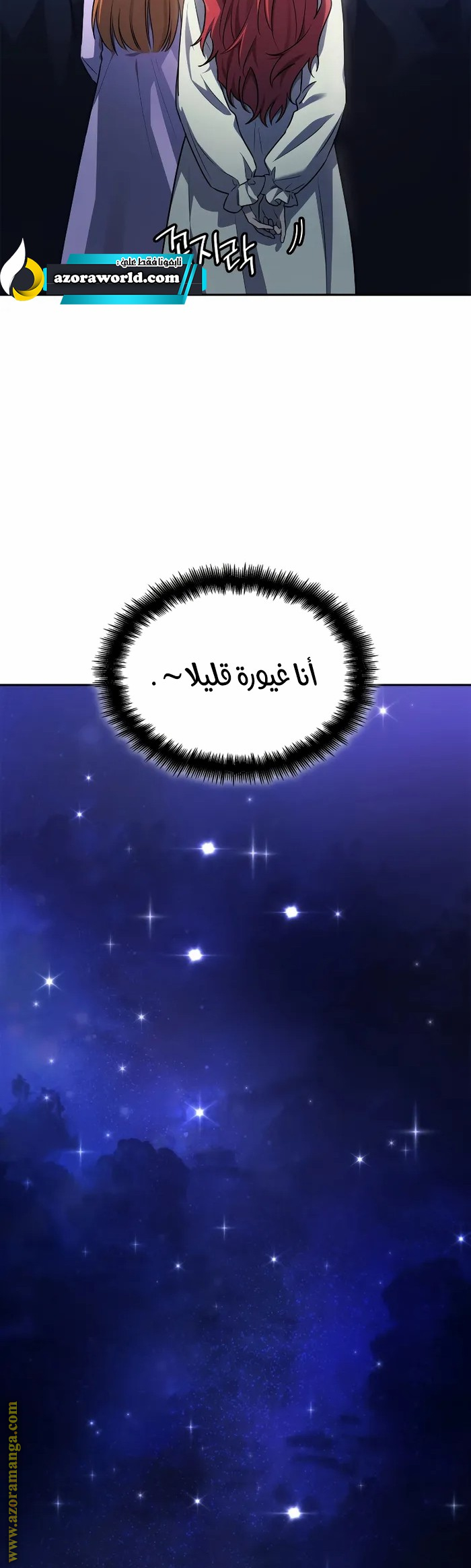 الصفحة 29