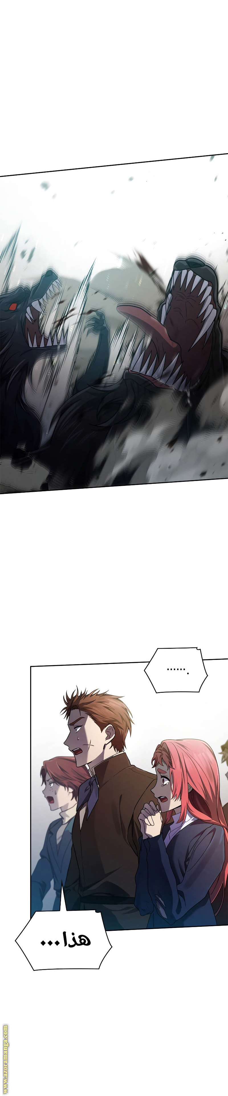 الصفحة 27