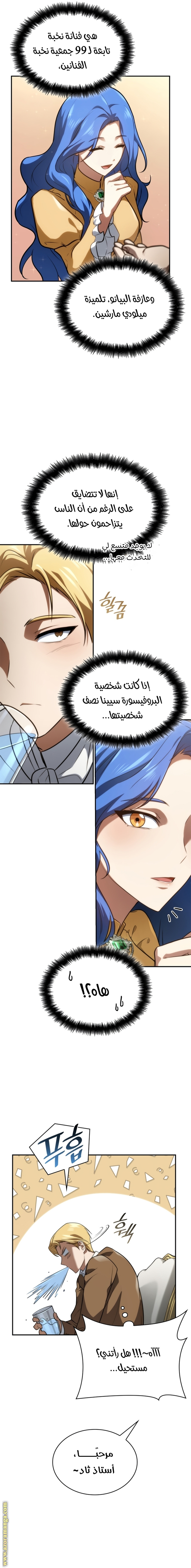 الصفحة 13