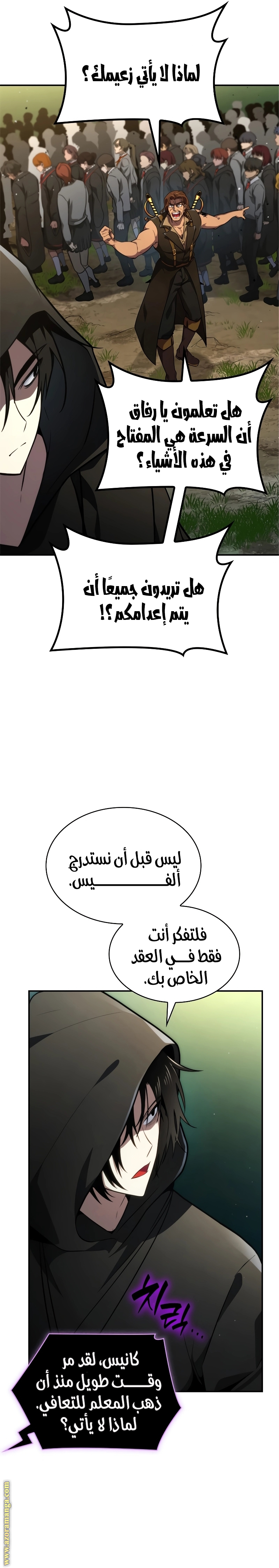 الصفحة 19