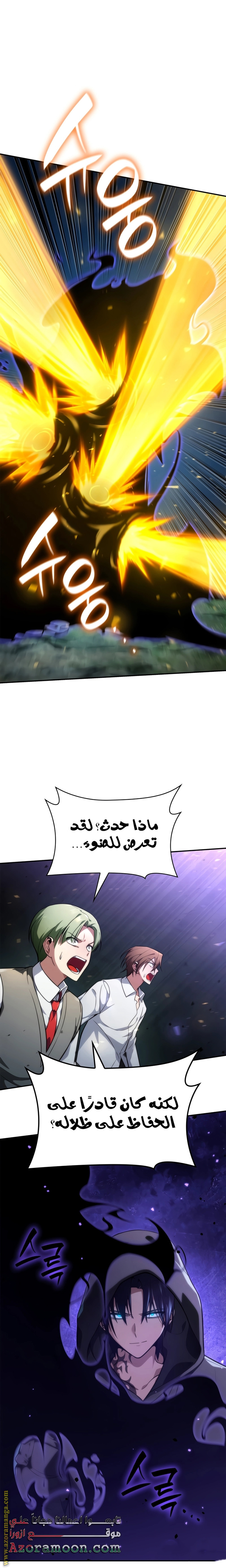 الصفحة 29