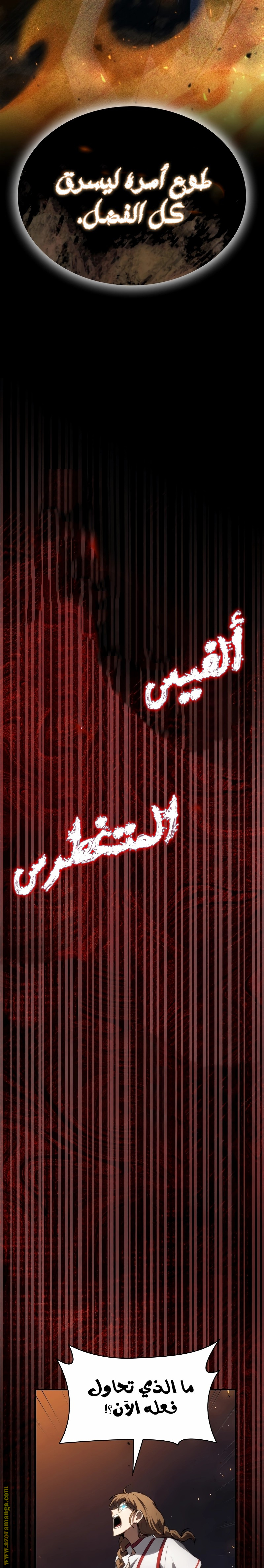 الصفحة 17
