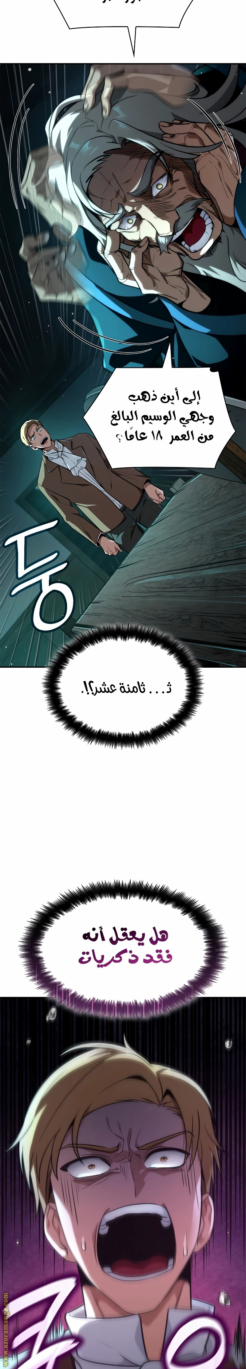 الصفحة 27