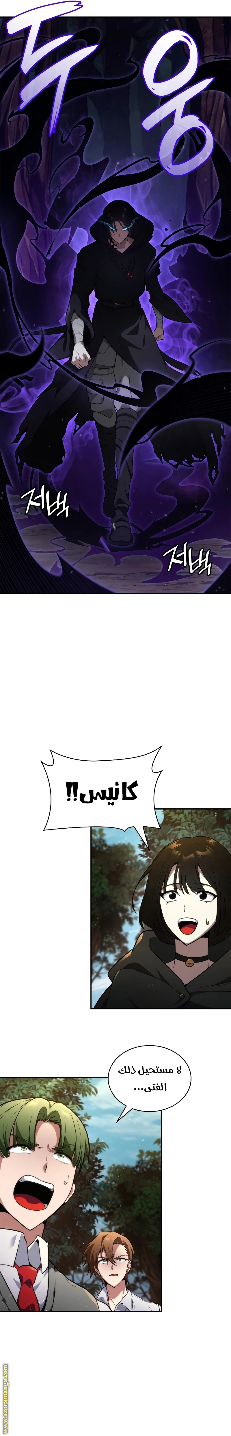 الصفحة 11