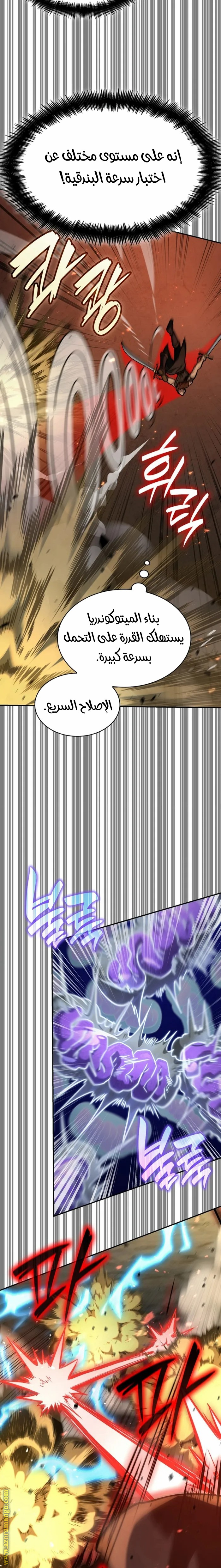 الصفحة 13