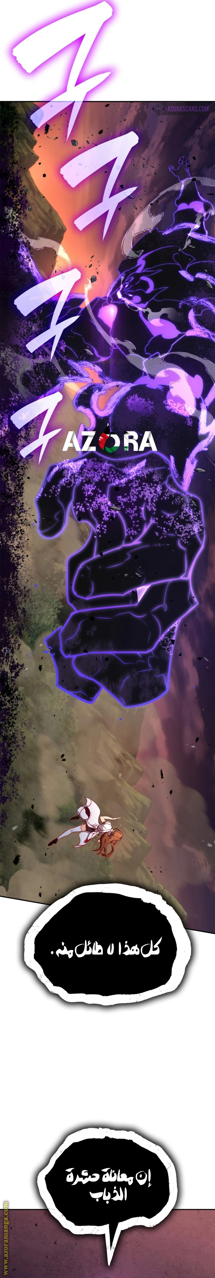 الصفحة 13