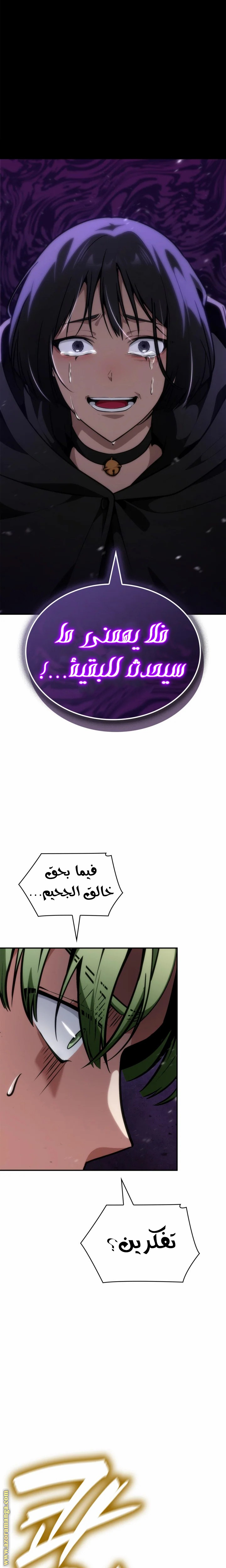 الصفحة 27
