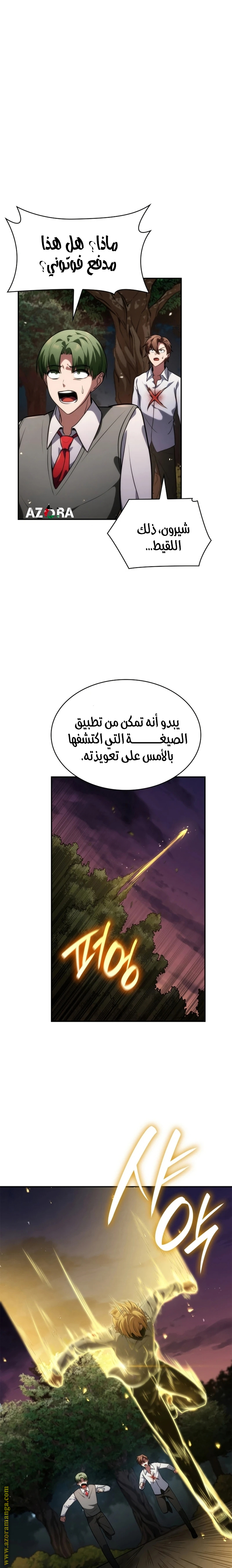 الصفحة 13