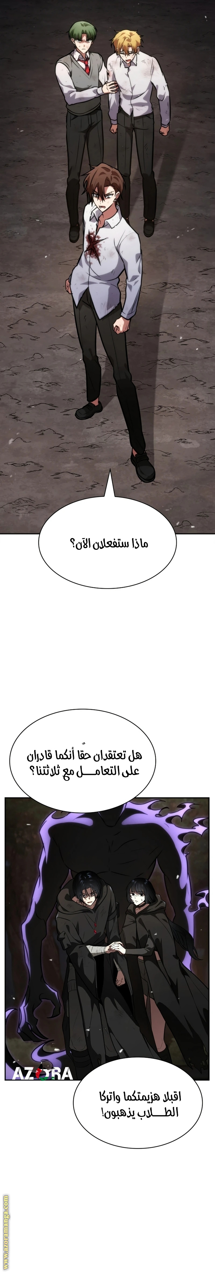 الصفحة 17