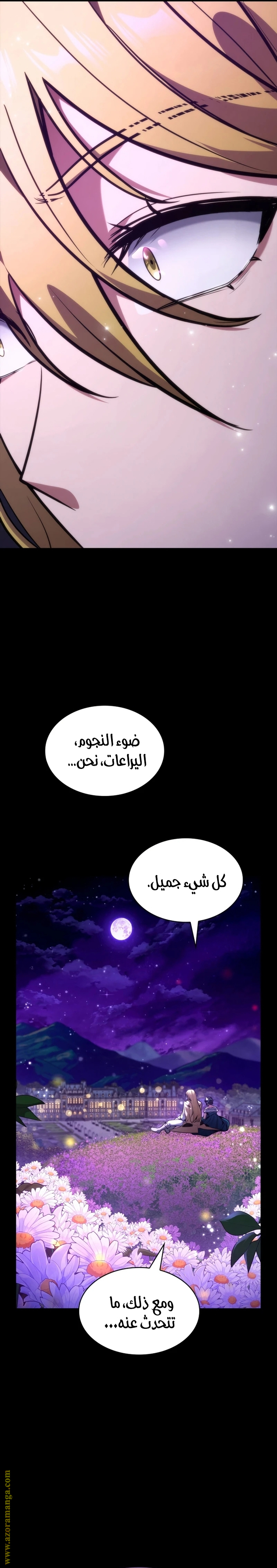 الصفحة 30