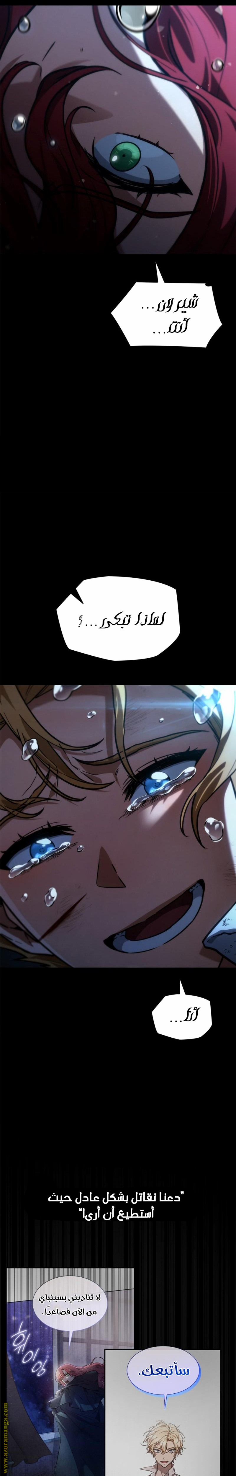 الصفحة 29