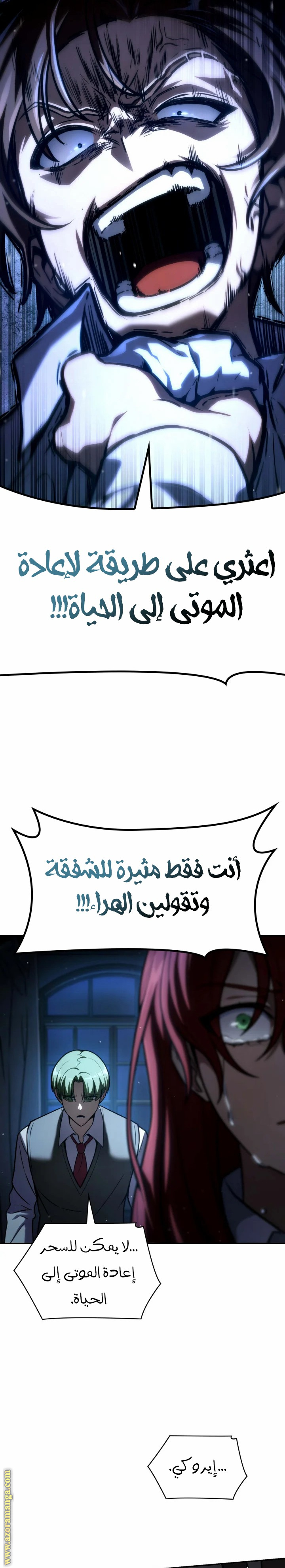 الصفحة 27