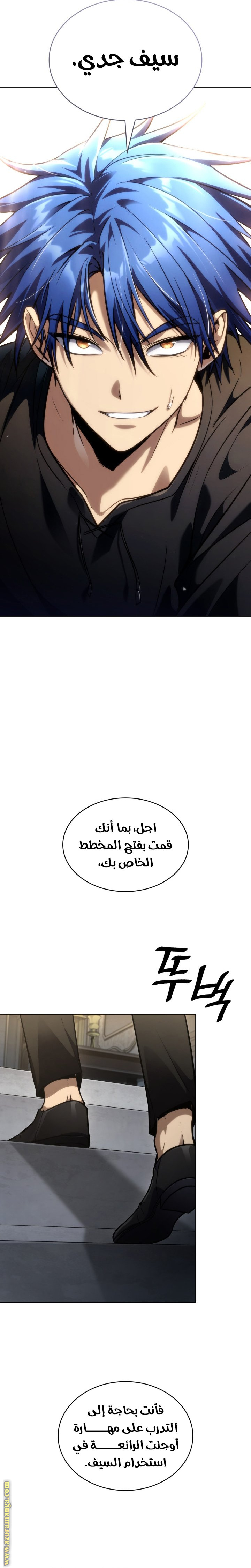 الصفحة 17