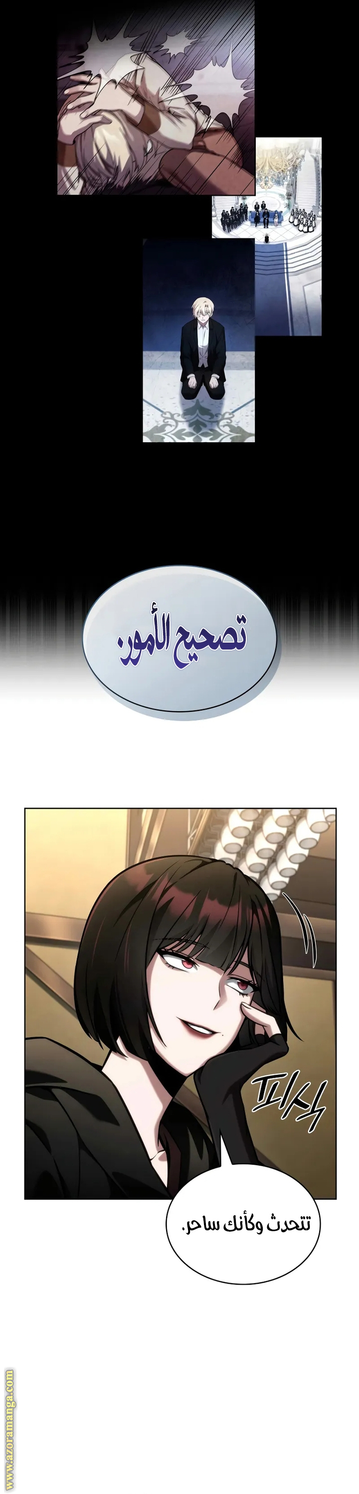 الصفحة 27