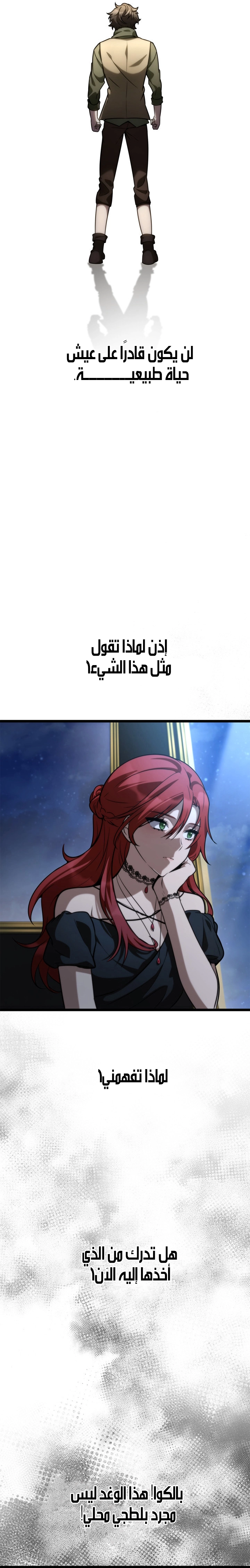 الصفحة 17