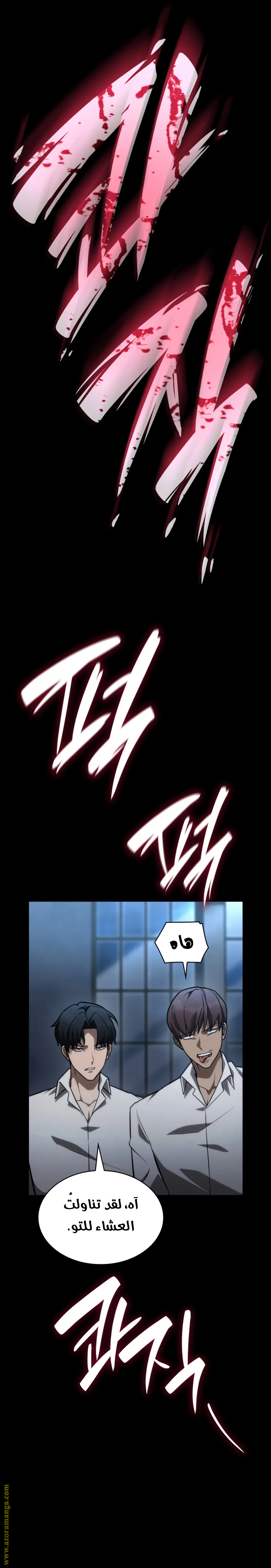 الصفحة 17
