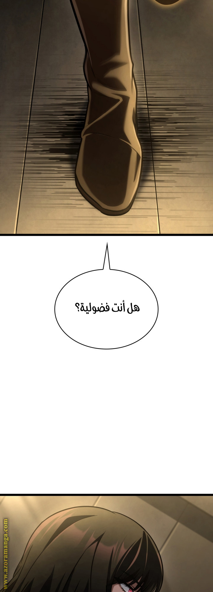 الصفحة 69