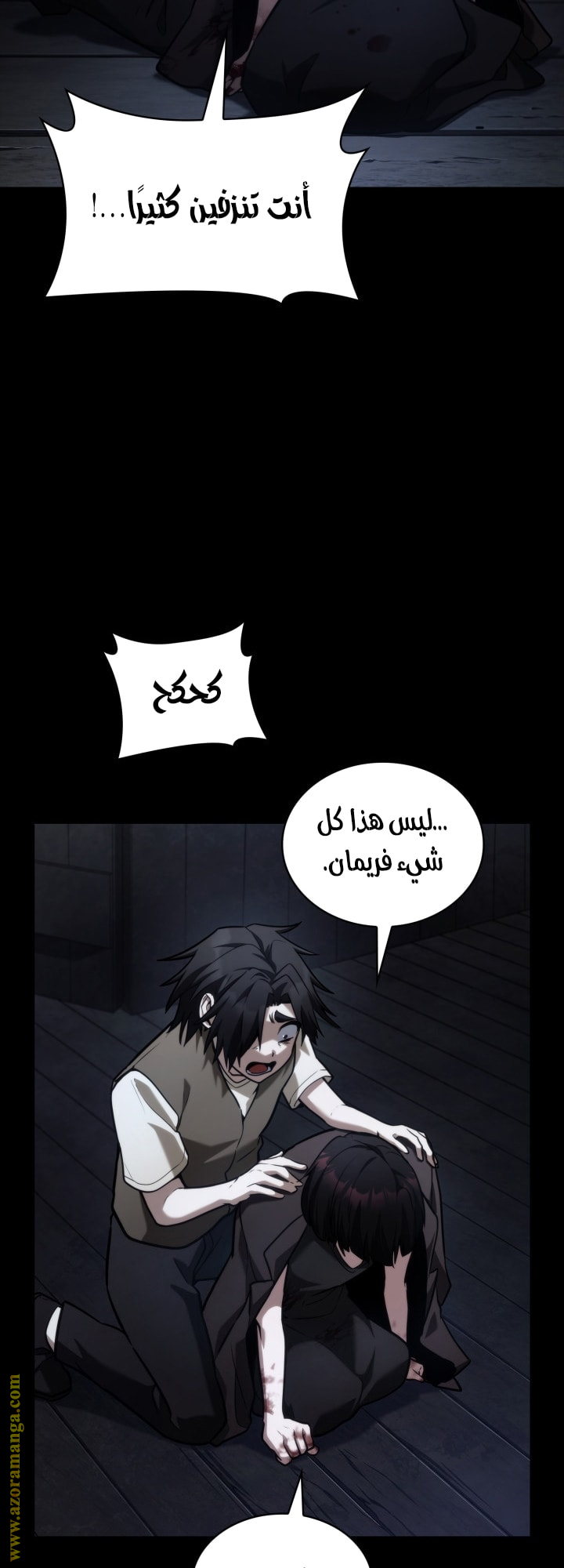 الصفحة 13