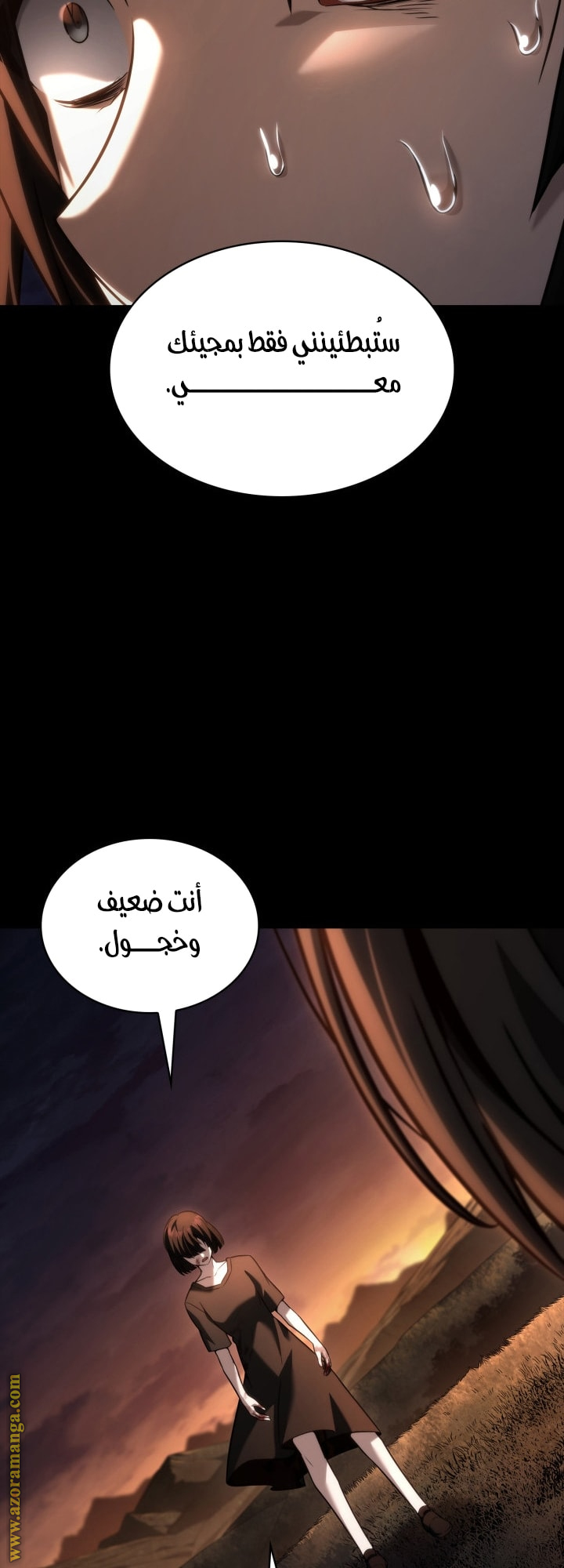 الصفحة 29
