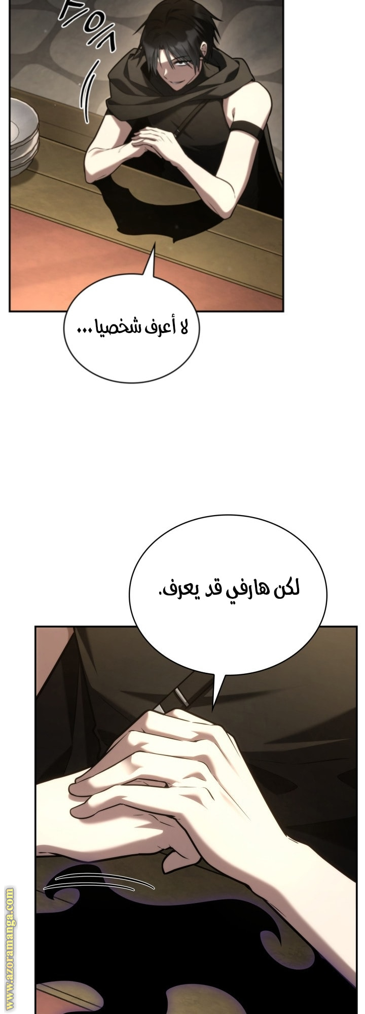الصفحة 13