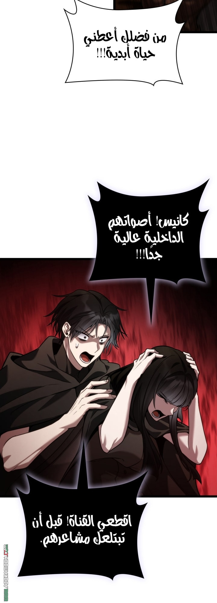 الصفحة 29