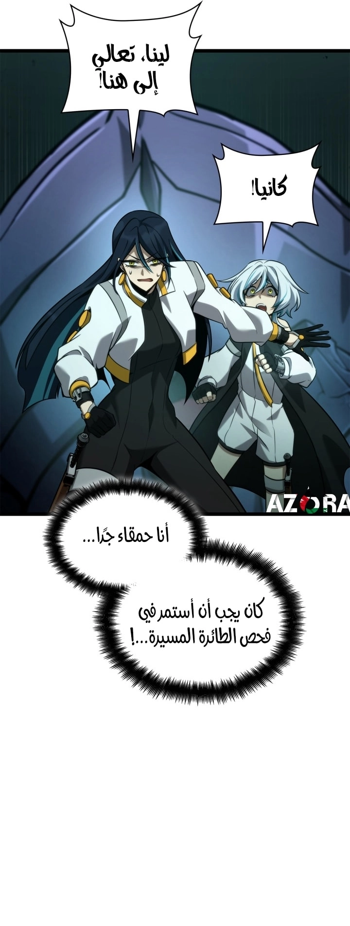 الصفحة 31
