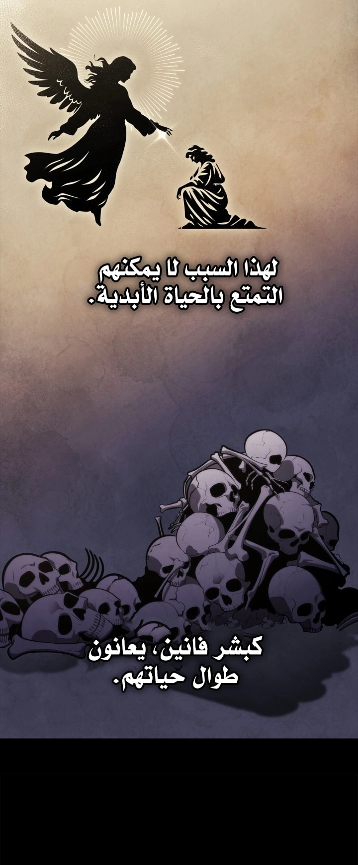 الصفحة 49