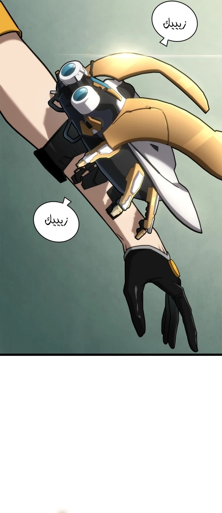 الصفحة 8