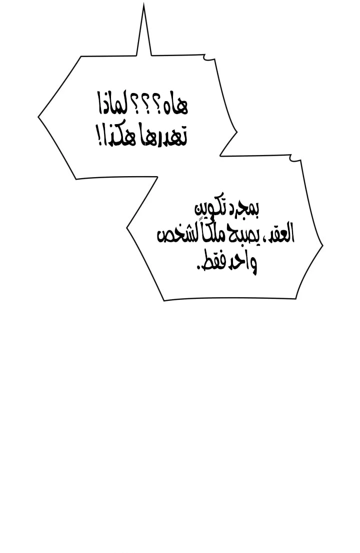الصفحة 31
